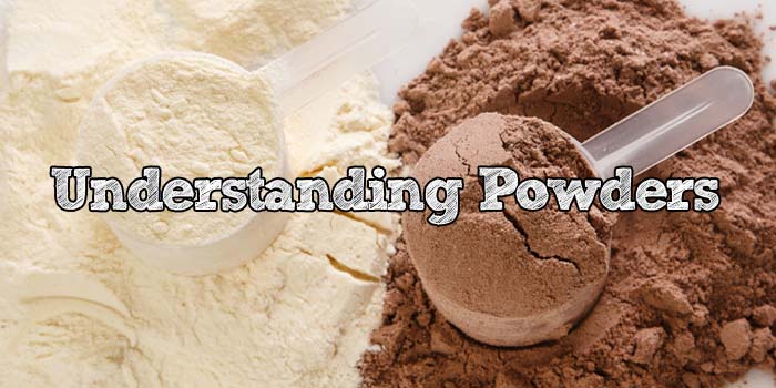 Understanding Powders